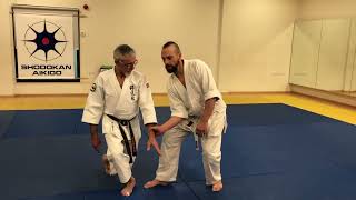 Shodokan aikido Atemi waza from same side grip [upl. by Mafala]