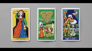 tarot chọn tụ bài vì tiền bạn sẵn sàng làm điều gì [upl. by Derron416]