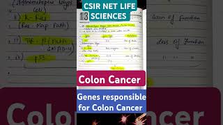 COLON CANCER ADENOMATOPSIS POLYPS COLON CANCERGENE RESPONSIBLE FOR COLON CANCER CSIR LIFE SCIENCE [upl. by Aurelius]