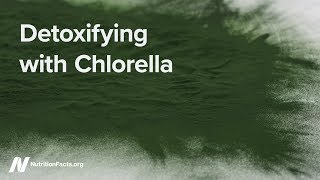 Detoxifying with Chlorella [upl. by Eusassilem]