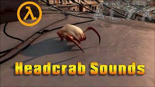 HalfLife Alyx  Headcrab Sounds [upl. by Glynas]