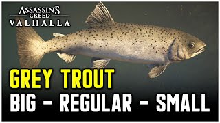 Assassins Creed Valhalla  Grey Trout Fish Locations Big  Regular  Small [upl. by Jill294]