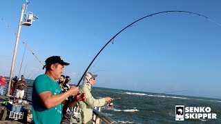 Pier Fishing Simple fishing rig catches HUGE FISH [upl. by Acirne357]