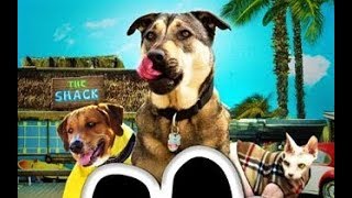 Собаки спешат на помощь Классный фильм Rescue Dogs 2016 [upl. by Drauode]