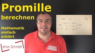 Promille berechnen  Mathematik  einfach erklärt  Lehrerschmidt [upl. by Swart]