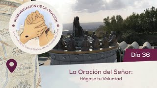 🙏 Día 36  La oración del Señor Hágase tu Voluntad  Peregrinación de la Oración [upl. by Aneladgam]