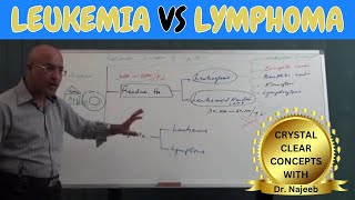 Difference Between Leukemia vs Lymphoma🩺 [upl. by Anglim]