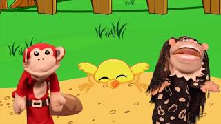 El pollito amarillito El Mono Silabo y Nícola Cavernícola  Canciones Infantiles [upl. by Ahron492]