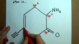 What is the hybridization of each atom in this molecule [upl. by Hemetaf]