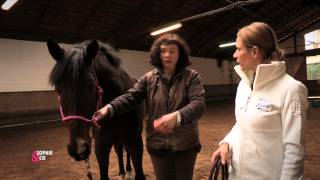 Votre cheval en mode streching  Equidia Life [upl. by Gunar]