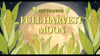 SeptemberOctobers Full Harvest Moon [upl. by Nathaniel]