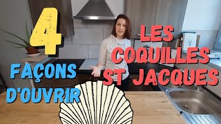 Comment ouvrir des Coquilles St Jacques  TUTOPOISSON [upl. by Yblocaj]