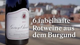 Weinprobe  6 fabelhafte Rotweine aus dem Burgund in der Online Weinverkostung [upl. by Elish]