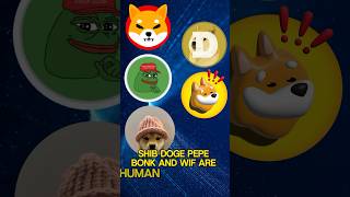 Whats the bext big memecoin wif bonk shib doge pepe kibshi memecoin ai crypto chatgpt [upl. by Yrral429]