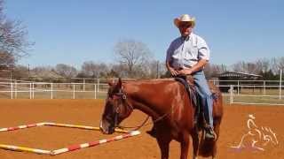 Horse Training  Trail with Will Knabenshue Performing the Cloverleaf Exercise [upl. by Acinnej]