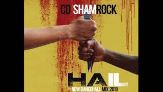 HAIL  QUADA  NEW DANCEHALL  MIX 2019 CD SHAMROCK POPCAAN TEEJAY [upl. by Skipton]