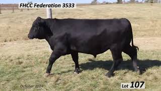 Lot 107 FHCC Federation 3533 [upl. by Ayikal]