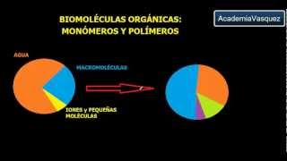 Biomoléculas Orgánicas Monómeros y Polímeros [upl. by Germana]