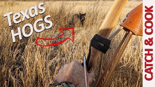 Bowhunting TEXAS HOGS  Spot and Stalk CATCH amp COOK [upl. by Anidnamra260]