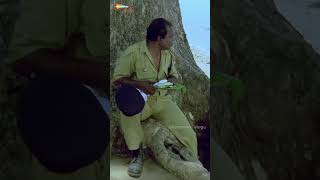 తినడమే కానీ ఏ రోజైన బిల్ కట్టావా😂  Sindooram Movie  Ravi Teja  Brahmaji Telugu Super Hit Movies [upl. by Siravrat570]