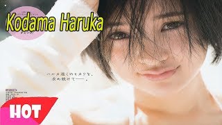 Kodama Haruka 兒玉遥  Morgan Nagoya  Phoenix No Copyright Music [upl. by Leonid304]