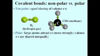 Chemistry and the Molecules of Life [upl. by Elisabet]