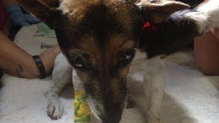 Meet Patty Abused and Skinned Alive [upl. by Jamima258]