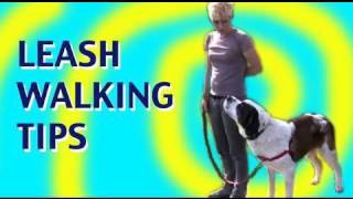 Loose Leash Walking Tips with dogs who are strong pullers [upl. by Relyat]