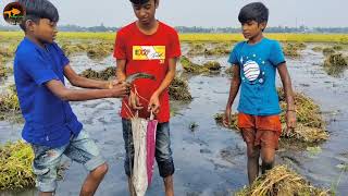 😲Unbelievable Boys Catching Big Shoal fish By Hand in Mud Water🖤Best Smart Hand Shoal Fishing Video [upl. by Lemmie]