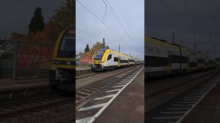 RE7 mit DesiroHC der Deutsche Bahn in Bad Krozingen deutschebahn trainspotting shorts yt [upl. by Airpal]