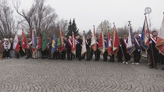 Biegi wspólne świętowanie i pamięć Ostrowiec uczcił Niepodległość  LOKALNATV [upl. by Ecadnak]