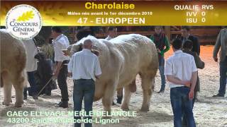 Concours race Charolaise 23 [upl. by Grodin]