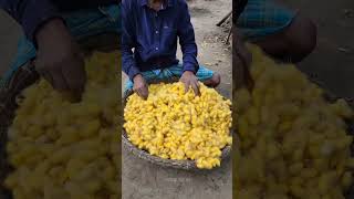 💥பட்டு நூல் எடுக்கும் முழுமையான செயல்முறை⁉️😱  Silk Making Full Process silk yarn making shorts [upl. by Lewej]