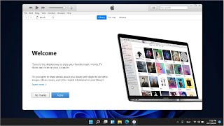 How to Download amp Install iTunes on Windows 11 its free [upl. by Gignac]