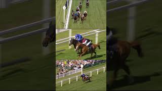 Kyprioss Gold Cup Finish From All Angles [upl. by Htesil]