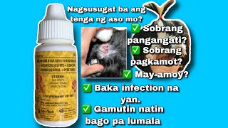 INFECTION SA TENGA NG ASOSAAN NAKUKUHA ANG INFECTIONANO ANG MABISANG GAMITPLEASE WATCH THIS [upl. by Idnaj]