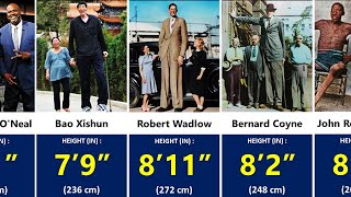 Tallest People in the World  Height Comparison [upl. by Doscher]