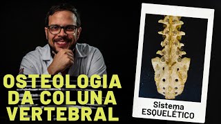 SISTEMA ESQUELÉTICO OSTEOLOGIA DA COLUNA VERTEBRAL  AULA PRÁTICA COM PROF ANDRÉ OLIVEIRA [upl. by Florencia]