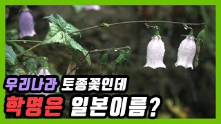 종자TV 우리나라토종꽃 학명으로는 일본어로 불러야 한다 김태완교수 한경국립대학교 종자tv 종자 종자티비 한경대 일본어로된우리풀 라틴어 라틴어수업 [upl. by Pohsib]