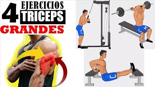 Ejercicios Para Tener TRICEPS Grandes y Fuertes  Entrenamiento Intenso Para BRAZOS [upl. by Aeli165]