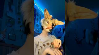 ℭ𝔬𝔶𝔬𝔱𝔢  therian coyotetherian furry therianthropy quadrobics artist [upl. by Alaekim]