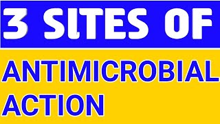 SITES OF ANTIMICROBIAL ACTION pharmacology pharmacy nursing doctor [upl. by Butterworth]