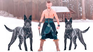 These Are The 10 Scandinavian Dog Breeds [upl. by Anatlus]