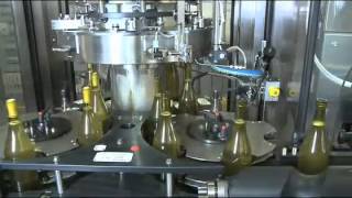 Machine Vision Inspection on New Wine Bottling Line Lowflv [upl. by Cirad203]