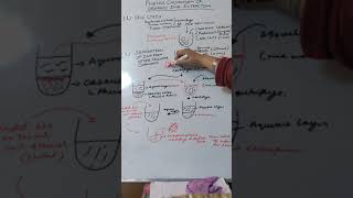 Phenol chloroform DNA extraction method [upl. by Mickelson]