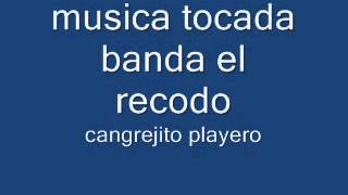 cangrejito playeromusica instrumental banda el recodo [upl. by Burk586]