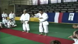 HIDETAKA NISHIYAMA KARATE POLAND 2001 [upl. by Kan]