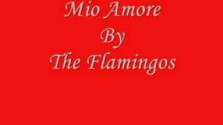 Mio Amore By The Flamingos [upl. by Lexi]