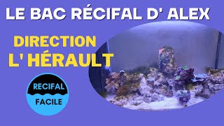 Bac récifal d Alex  Maintenance Aquaexotic [upl. by Mcripley]