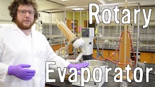 How to Use a Rotovap Rotary Evaporator [upl. by Asteria]